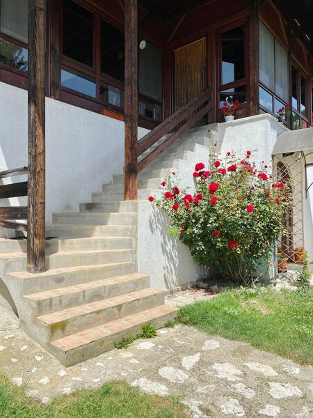 Dambovicioara, Jud. Arges